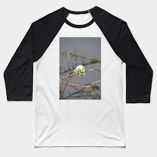 Lakes: Moss and twigs Baseball T-Shirt